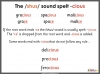 Words Ending with the 'shus' Sound Spelt -cious or -tious - Years 5 and 6 Teaching Resources (slide 7/42)